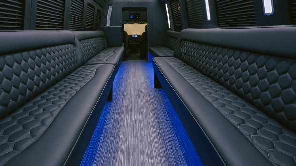 30 Passenger Party Bus Interior